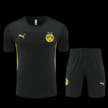 Borussia Dortmund C.F